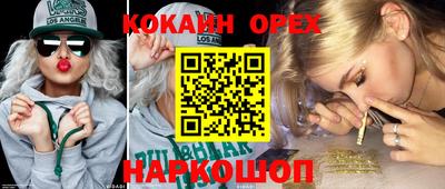 хмурый Бийск