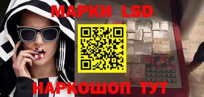 спайс Берёзовский