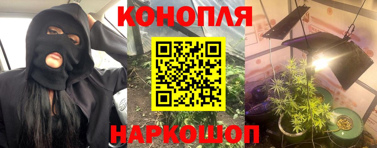 МАРИХУАНА конопля Ишим